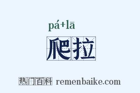 爬拉是什么意思的图片